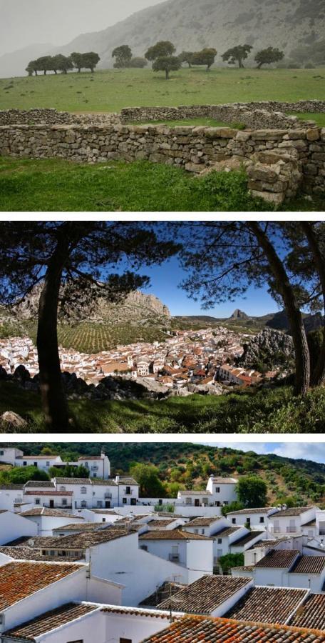 Hotel Rural Palacete De Manara 蒙特哈克 外观 照片